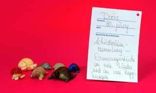 Schildkrötensammlung